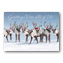 Antler Chandelier Holiday Cards