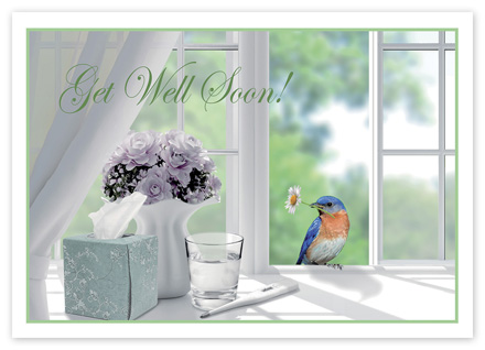 Darling Visitor Get Well Cards